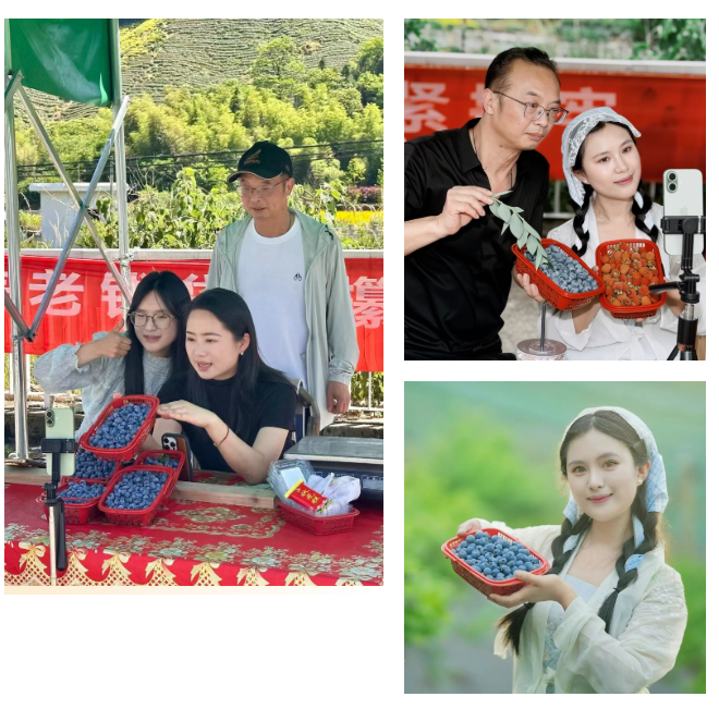 2b132661-5eae-4125-bb30-5f6c6d4aee69.png