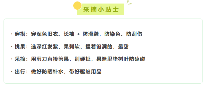 99903094-8ac7-4963-a395-cc97edd72cae.png