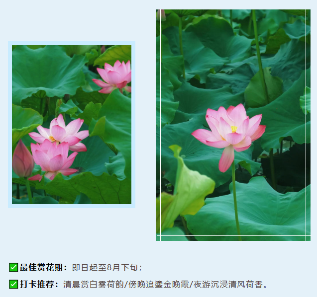 c9b266b6-07b8-4987-99d4-1c4afe5e6d1b.png