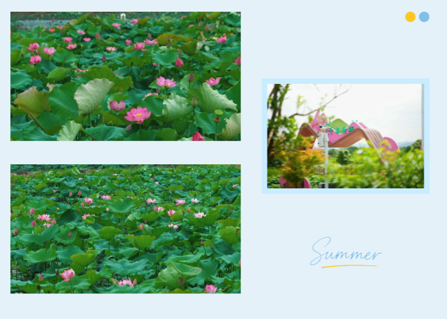 90e51032-6f95-45be-923d-ddca3cda7cb3.png