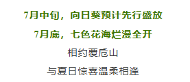 d655e0b9-5eb6-4ea4-ab63-0dba81f3d537.png