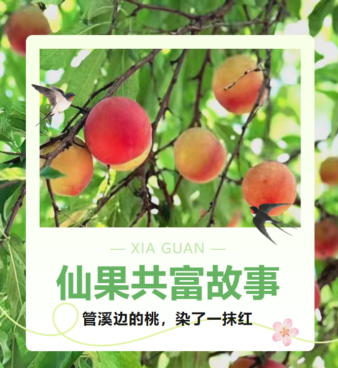 ed9a6184-ccd8-4efb-8ca0-7a5ac59c6478.png
