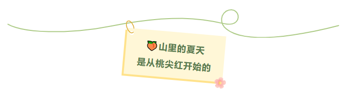 8a68205a-442c-4602-add8-f11487916e34.png