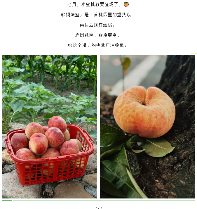 b2c06690-cfaf-420f-b74e-1a7f0c01a84c.png