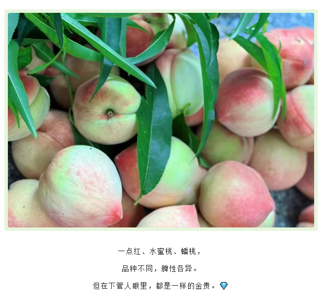 d84b1c09-9911-4ae9-813b-d90e6b99c9af.png