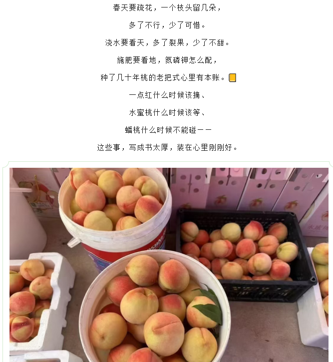 4bc9d4db-2b6f-432f-9ac7-e4717e6880d0.png