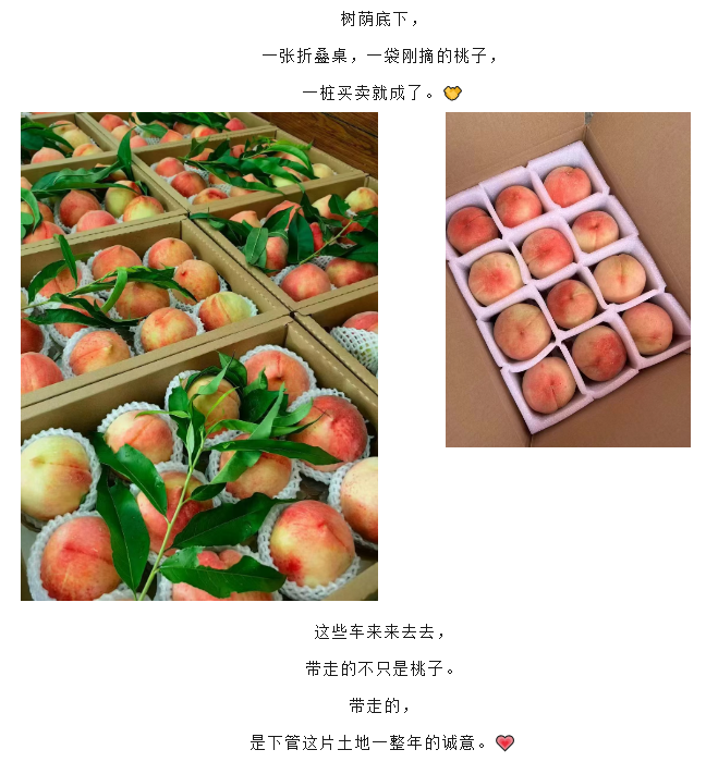 5ad975dc-8e49-4ae5-830b-690ae5a19c66.png
