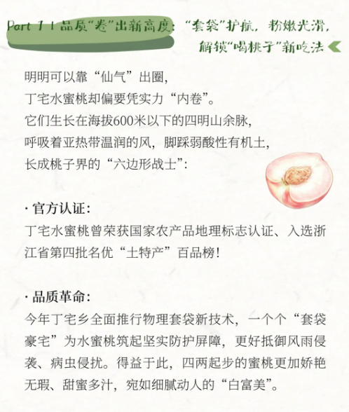 404174c6-2e56-4a1a-aae7-b4849b9e8b20.png