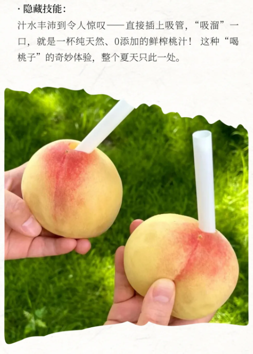 16b36d38-fde2-4d81-9413-d3f2db1e24a2.png