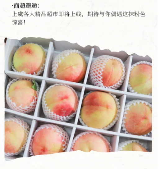 5eec2240-d29d-4365-91fc-9d27cd276c17.png
