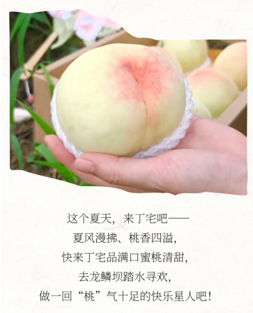 2730dded-9d94-4ace-962a-9cf12c0751ca.png