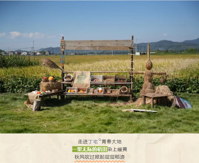 91defc71-bb5c-4d59-916a-46b20919ca1d.png
